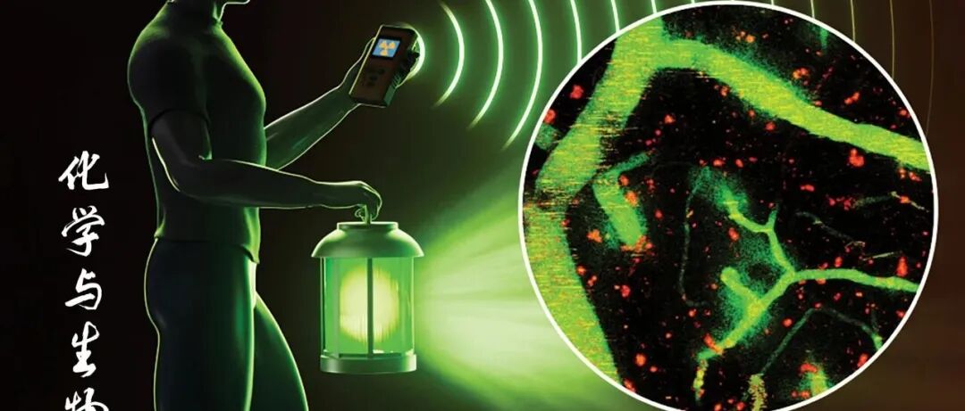 Chemical & Biomedical lmaging 2025年第十期发布：铜离子荧光探针、新型荧光染料等