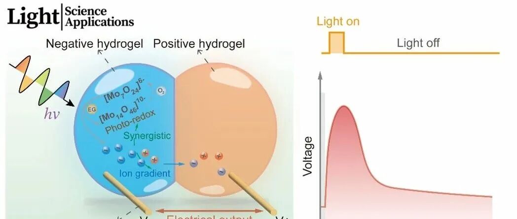 王帆/钟晓岚等Light | 基于离子水凝胶液滴的光能收集器