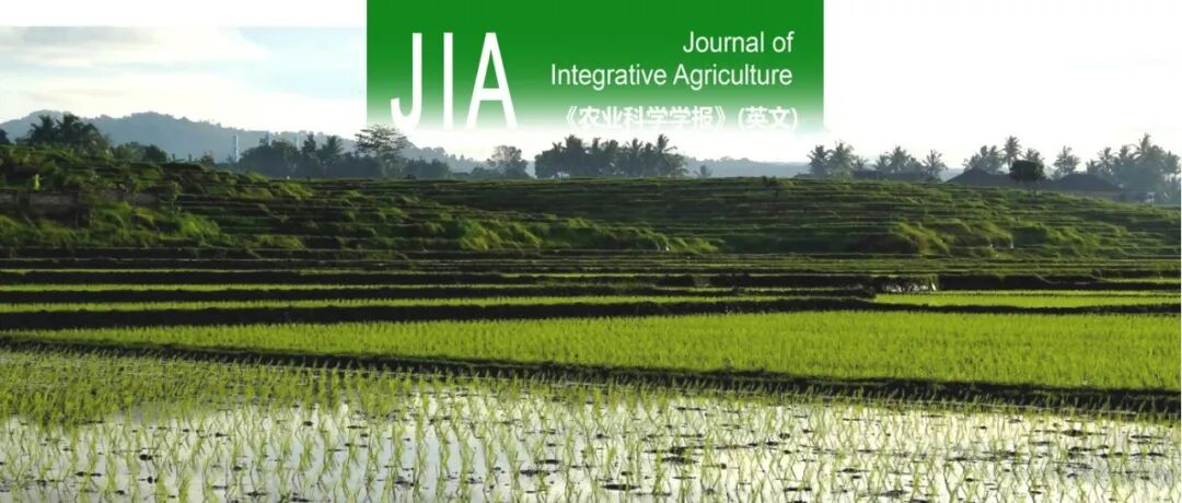 JIA | 江西农业大学水稻栽培课题组评估长期秸秆还田下光合碳和外源氮在水稻植株-土壤系统中的转运和分配特征