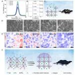 北京大学赵清&骆超团队：钙钛矿薄膜-湿度开关 | Science Advances