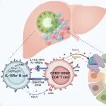 J Hepatol | 上海交通大学尤征瑞等揭示了原发性胆汁性胆管炎的一种致病新机制