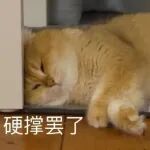 恐怖如斯！审稿人直夸同步辐射数据没问题，全球机时三代光源，随到随测，仅余最后9席！