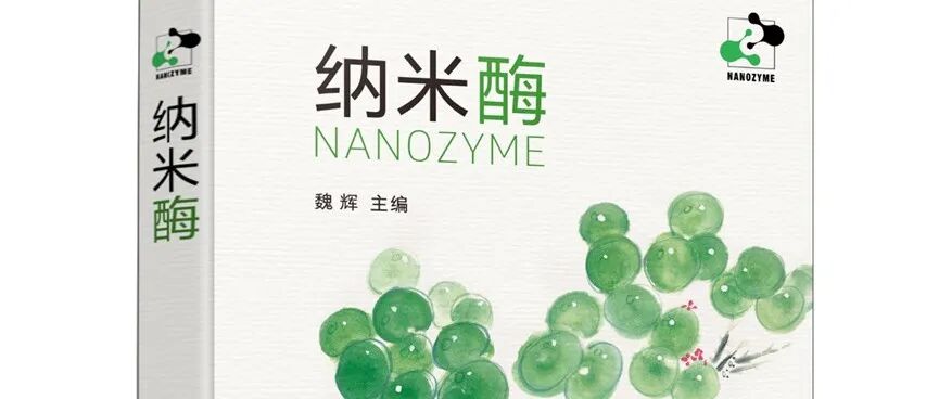 《纳米酶》共读之旅 | 第9章·敢将十指夸针巧