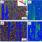 湖南大学、哈尔滨工业大学《JMA》挤压态Mg-9 Gd-4 Y-1 Zn-0.5Zr合金片层γ '相组织设计及断裂韧性大幅提高