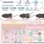 ACS Nano：基于病毒样颗粒的个性化新抗原纳米疫苗用于肿瘤免疫治疗及复发预防