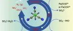 文献速递|重庆大学WR:深入分析硫酸根自由基和羟基自由基在金属氰化物络合物降解过程中的作用和机制