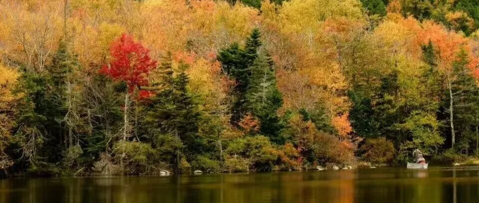 郗戈 | 马克思“从后思索”法的历史唯物主义深蕴