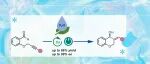 【Org. Lett.】华中师大朱翠菊/张之涵: 钴催化的对映选择性电化学还原偶联构建手性4-色满醇衍生物