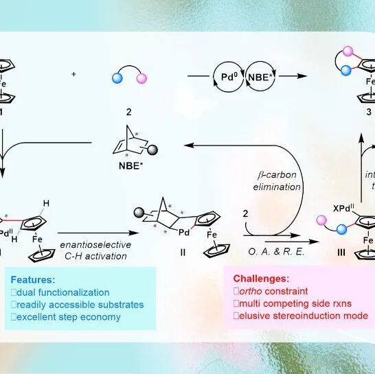 【JACS】武汉大学周强辉/程鸿刚团队：钯/手性降冰片烯协同催化从头构建平面手性二茂铁