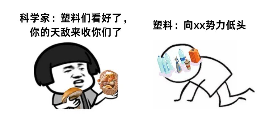 能治塑料的大救星，就藏在你涮火锅的食材里……