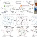 斯威本科技大学王浩、南昆士兰大学宋平安/霍思奇 Adv. Sci.：生物基环氧vitrimer-高性能碳纤维复合材料回收新策略