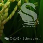Nature plants | 作物的田间实验是否真的需要？