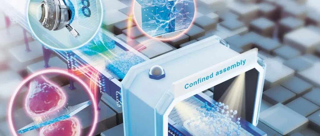 ACS Nano封面 | 师从冯新亮/江雷！中科大张振教授团队：超浸润纳米材料的限域组装→构建仿生纳米流体膜及其前沿应用