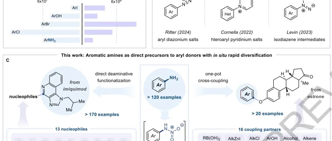 颠覆传统工艺！国科大杭州高等研究院最新Nature