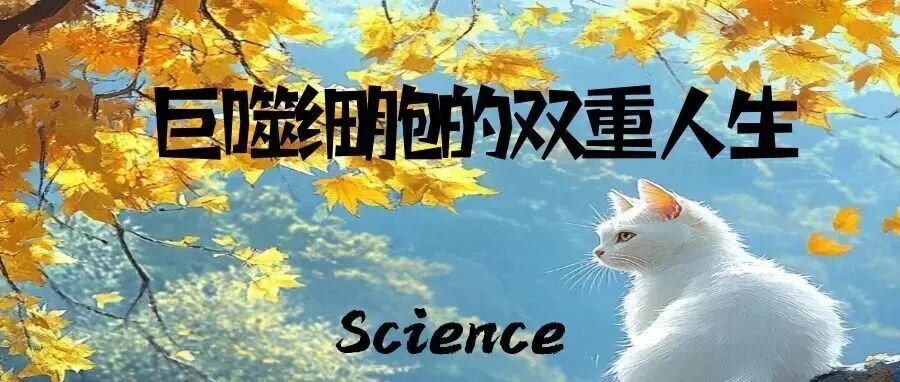 Science：巨噬细胞的双重人生