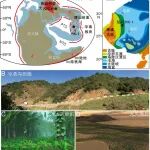 云南大学冯卓团队在PNAS发表最新成果：2.5亿年前植被崩溃引发的区域碳—硫循环异常
