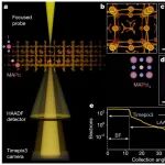 上海科技大学最新Nature