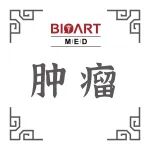 Sci Signaling丨李鹏课题组发现YAP1/TEAD4转录复合体的新型翻译后修饰和靶向策略