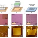 哥伦比亚大学《Nano Lett》：超越透明胶带-研究级CVD石墨烯的可扩展转移