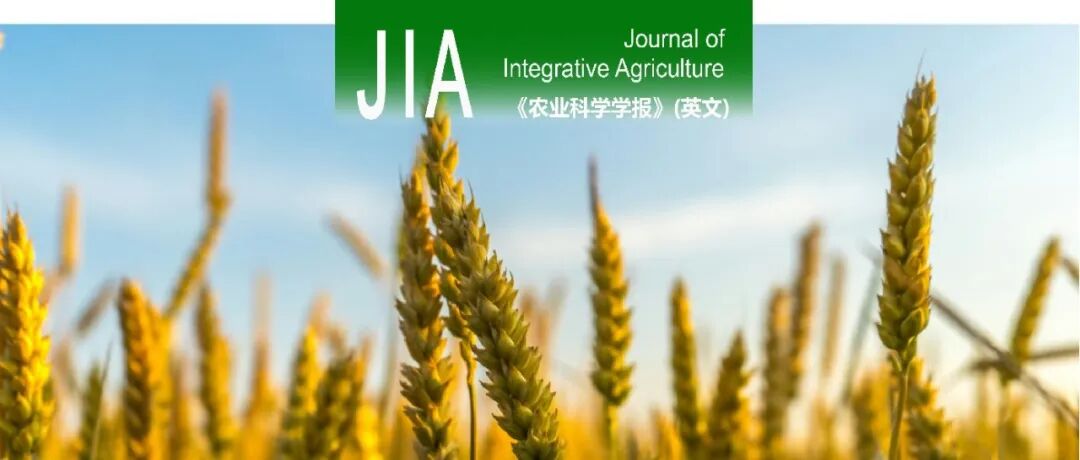 JIA | 中国农业大学小麦研究中心孙其信教授团队：小麦抗赤霉病主效QTL位点—Fhb9的定位与溯源分析