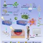 烟台大学任春光团队本科生一作 Colloid. Surface. A：集监测治疗功能一体智能水凝胶伤口敷料