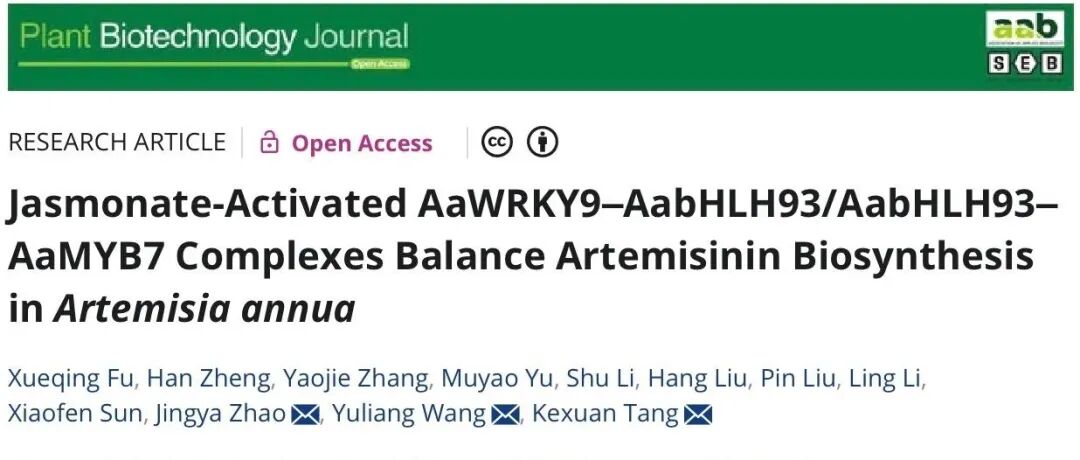 文献分享|茉莉酸激活的AaWRKY9-AabHLH93/AabHLH83-AaMYB7复合物平衡黄花蒿中青蒿素的生物合成