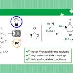 【Org. Lett.】米兰大学：N-恶唑烷酮自由基对芳烃和杂芳烃的光催化加成反应（Batch/Flow模式）