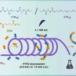 苏州大学朱健教授团队 Macromolecules: 流动RAFT逐步聚合