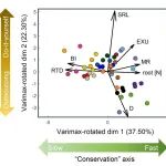 北京大学朱彪课题组《Journal of Ecology》最新研究成果！土壤微生物群落与多维细根经济空间的共变异