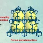 东北师大刘东涛课题组：通过C(sp³)-C(sp³)偶联聚合构筑多孔聚金刚烷