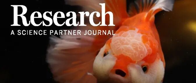 Research|中国科学院水生生物研究所桂建芳院士团队揭秘金鱼头瘤形成的细胞与分子机制