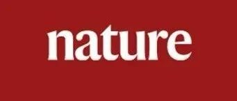 上海科技大学于奕课题组：辐照敏感材料-电子显微成像 | Nature
