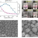 武汉大学曹余良、方永进课题组Angew. Chem.：有机微乳电解液-非均相电解液体系的突破