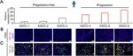 山东大学程玉峰团队合作连发2篇Adv Sci
