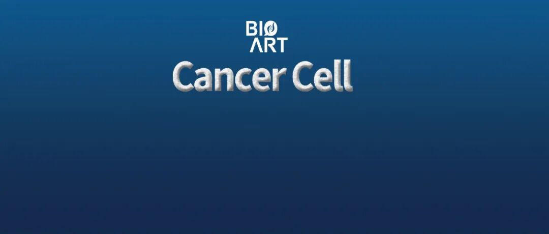 Cancer Cell | 肿瘤浸润细菌重塑上皮结构并诱导细胞周期静止与化疗耐受
