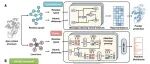 北京化工大学最新Science