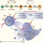 ACS Nano：纳米马达促进的原位疫苗接种用于实现深部癌症免疫治疗