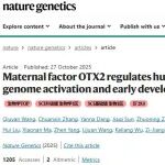 Nat Genet  | 清华大学颉伟课题组与合作者揭示母源因子OTX2调控人类胚胎基因组激活和早期发育
