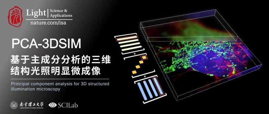 陈钱/左超团队Light | 基于主成分分析的三维结构光照明显微成像