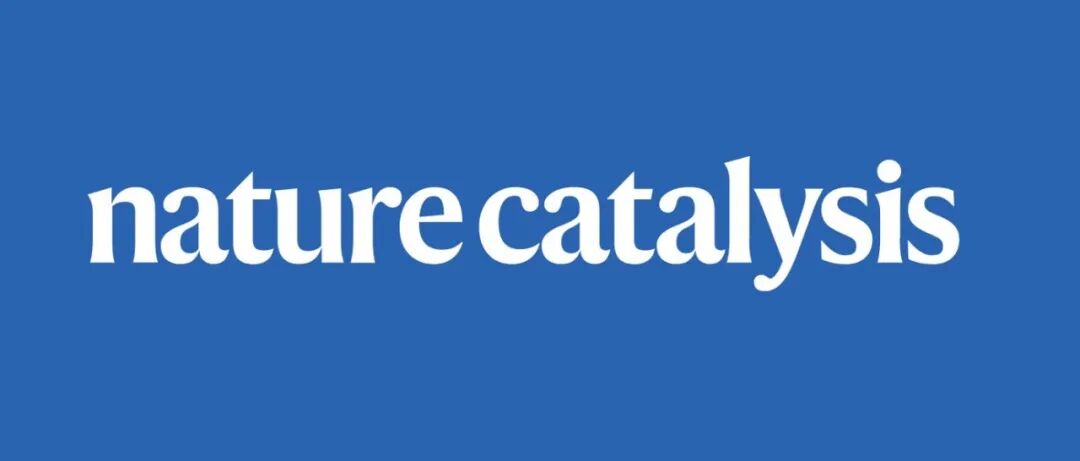 重庆大学，最新Nature Catalysis！