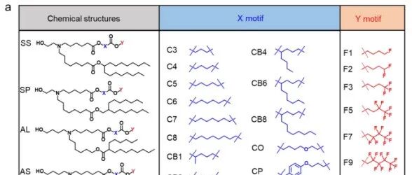 JACS|  用于癌症免疫治疗的高效靶向脾脏mRNA递送的氟化可离子化脂质