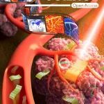 浙江大学徐恩波/毛国勇Adv. Sci.：可食用且可降解的淀粉水凝胶，还可用于软体机器人！