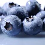 《食品科学》：合肥师范学院朱桂兰教授等：不同接枝顺序三元共价复合物对蓝莓花青素的稳态作用