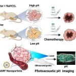 Nano Lett：对肿瘤微环境pH进行光声化学成像以预测乳腺癌化疗效果