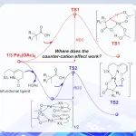 【Chem. Sci.】北化雷鸣课题组：钯配合物催化羧酸C-H键活化反应中的抗衡离子效应