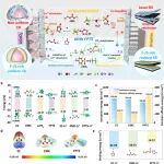 华南师大李伟善/廖友好/肖哲熙AFM：电位调控界面实现4.6V钴酸锂电池宽温高倍率稳定运行