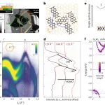 研究进展：混合激子，二维材料-有机界面超快能量转移 | Nature Physics