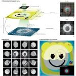 研究进展：郑国安，叠层衍射成像Ptychography | Nature Reviews Methods Primers