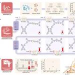 新材料研发加速器：智能科学家平台破解“数据荒”，显著提升荧光COF研发效率
