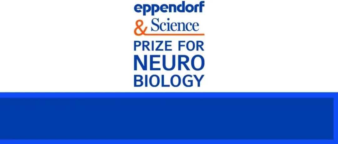 2025年Eppendorf & Science神经生物学大奖揭晓：大脑如何完成“精准布线”？